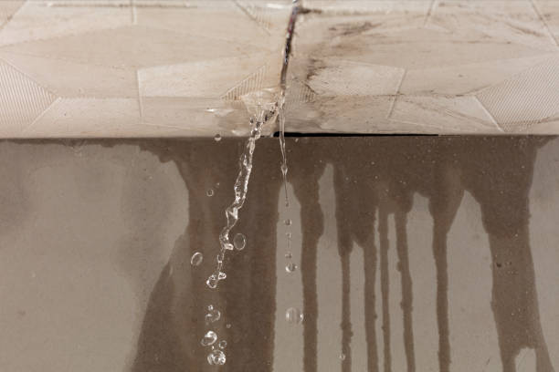 Professional Water Damage Repair technician working in Lucasville, OH